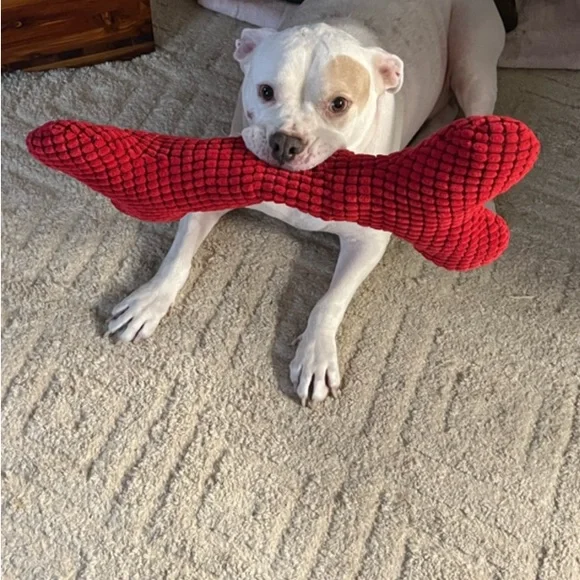 Early Morning Coffee and Share Show - Picture 6 of 9